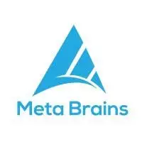 Meta Brains